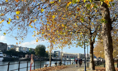 Where to Relax in Kumasi: Best Parks, Lakes & Nature Spots